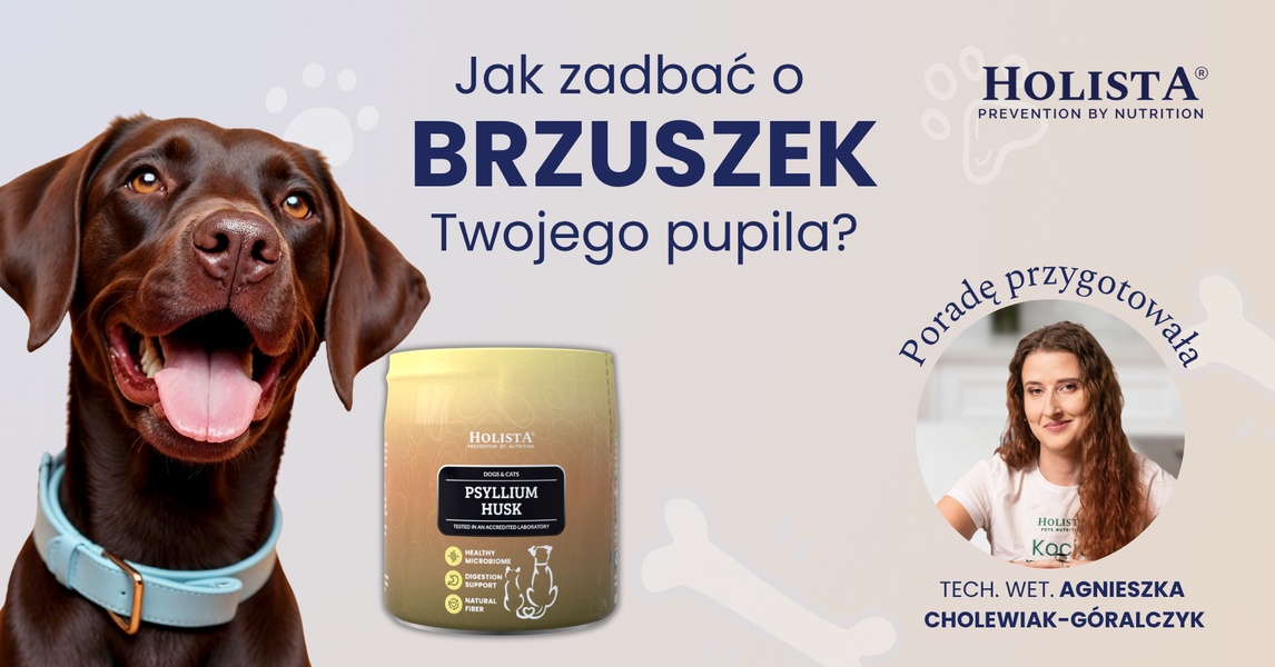 This ad creative uses a dual-image layout featuring a happy pet and a veterinarian expert to build trust and authority for a digestive supplement.